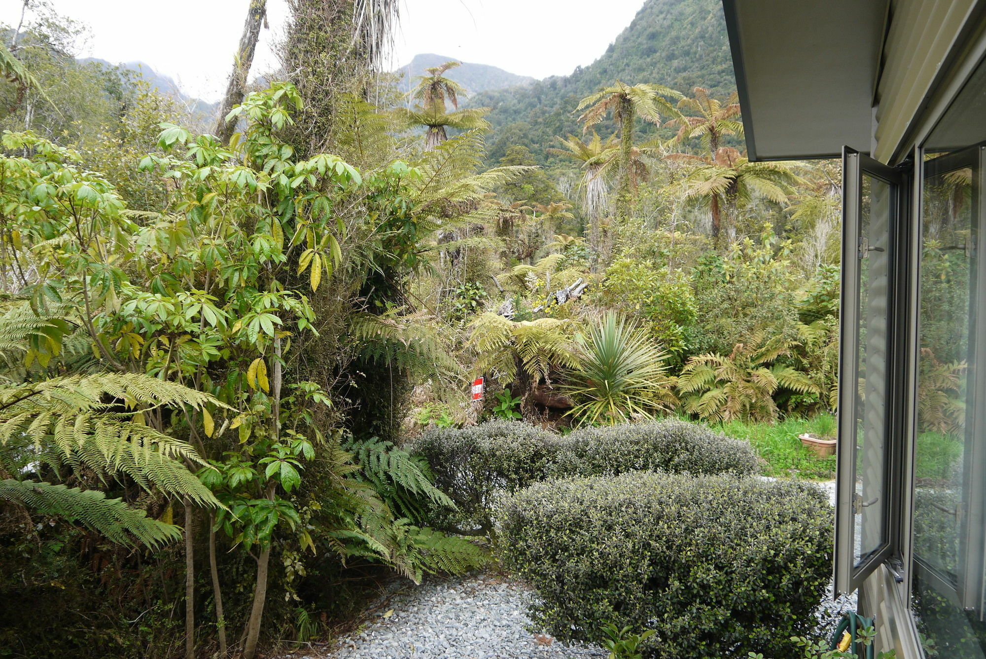 Franz Josef Treetops Екстериор снимка